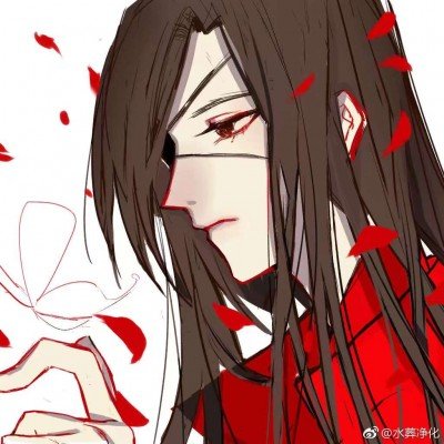网友致歉称与何与不熟